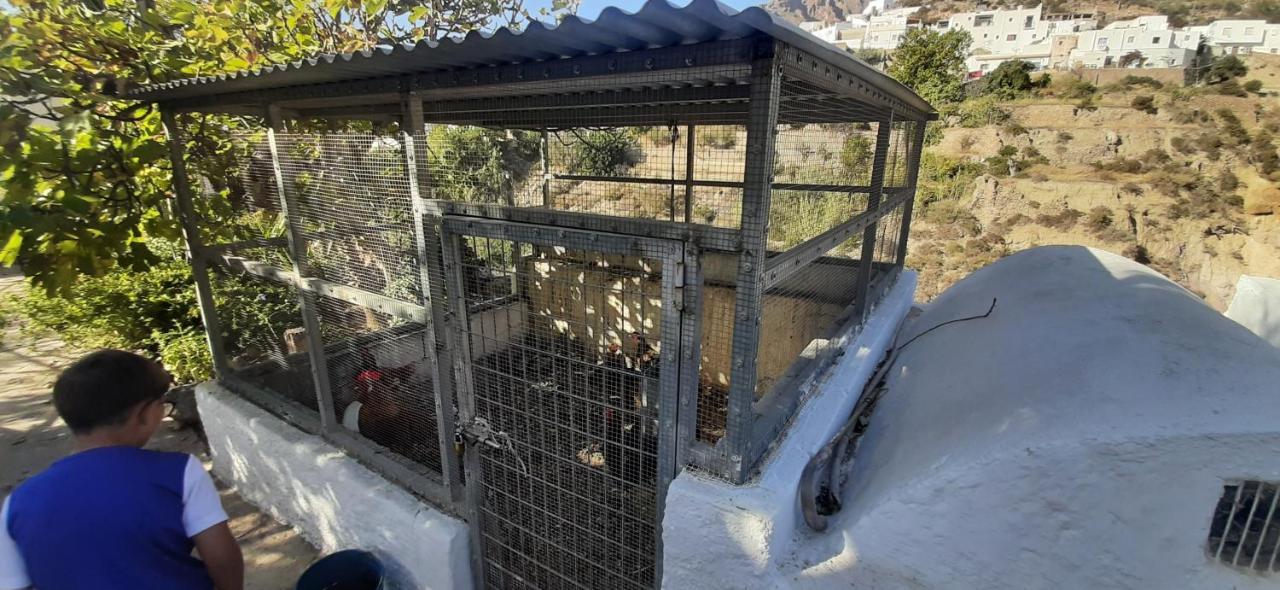 Cortijo Ferre, A Los Pies Del Castillo La Atalaya De Níjar Eksteriør bilde