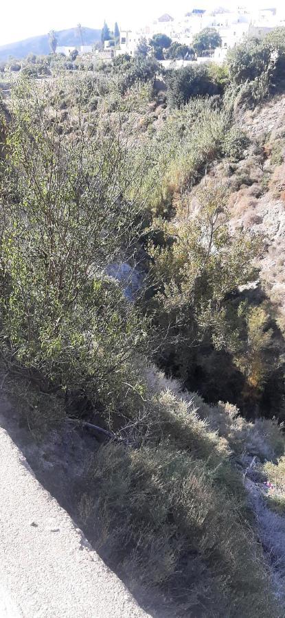 Cortijo Ferre, A Los Pies Del Castillo La Atalaya De Níjar Eksteriør bilde